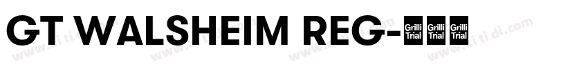 GT WALSHEIM REG字体转换 GT WALSHEIM REG字体转换
